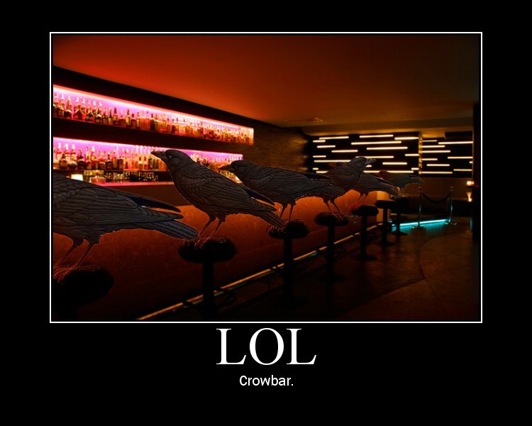 Crows at a bar pun