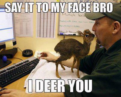 Deer pun with confrontation challenge