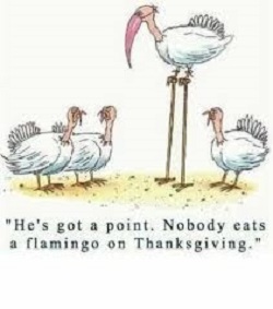 Flamingo's Thanksgiving Logic