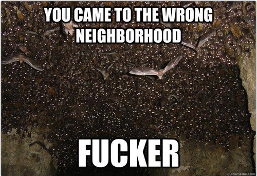 Bat Swarm Intimidation