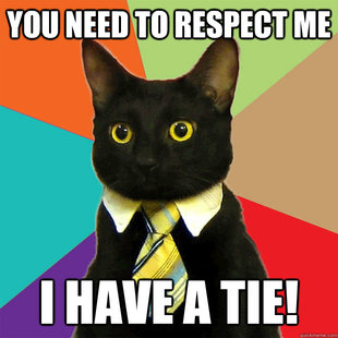 Cat demands respect with tie