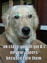Professor Dog Excuses Homework