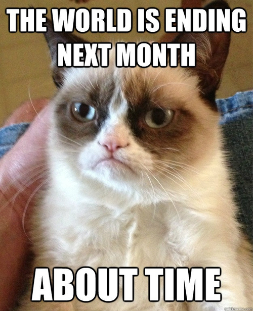 Grumpy Cat Apocalypse Indifference