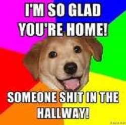 Dog excuses humorous welcome