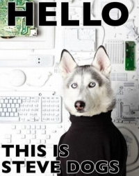 Mischievous dog at tech support