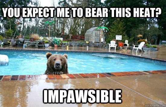 Pun-loving bear beats the heat