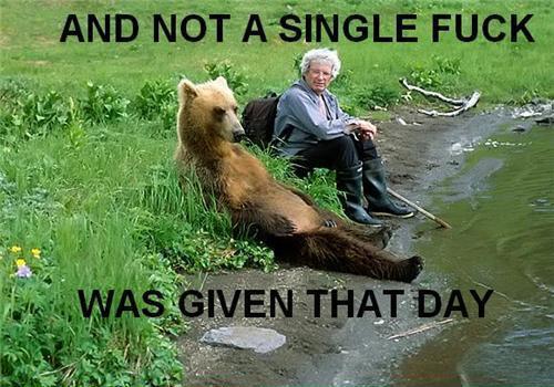 Chill Day with Bear Companion