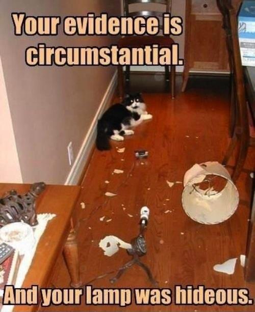Cat Critiques Home Decor Disaster