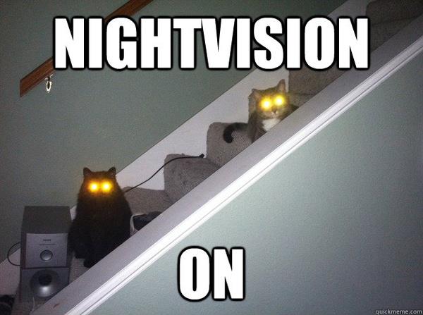 Cats with glowing eyes meme