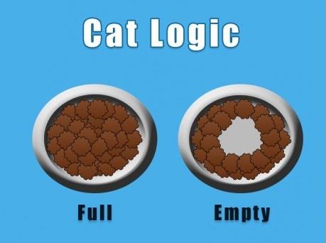 Cat Feeding Quirks Explained
