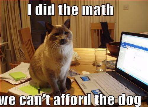 Cat Budget Analyst