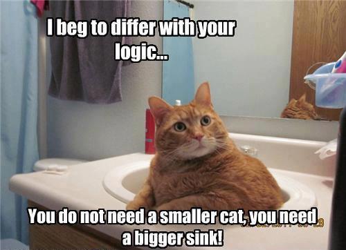 Cat Challenges Sink Size Logic
