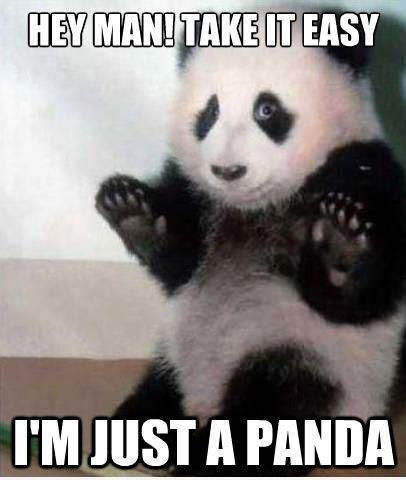 Panda's Chill Reminder