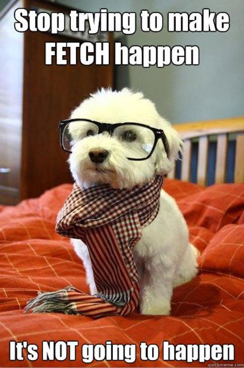 Dog with glasses meme
