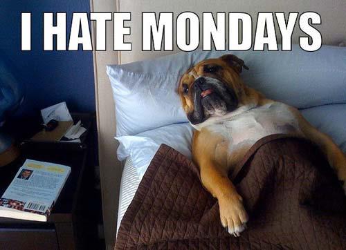 Bulldog's Monday Blues