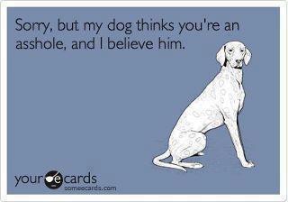 Dog's Judgment Trust Issue