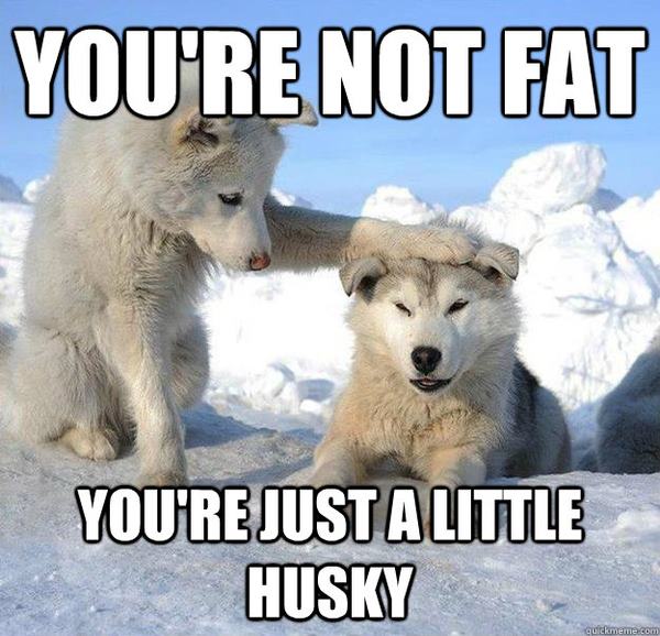 Husky Wordplay Comfort