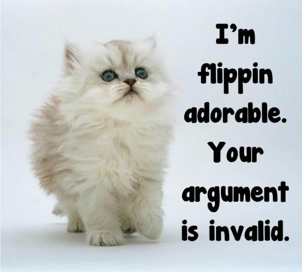 Adorable Cat Dismissing Arguments