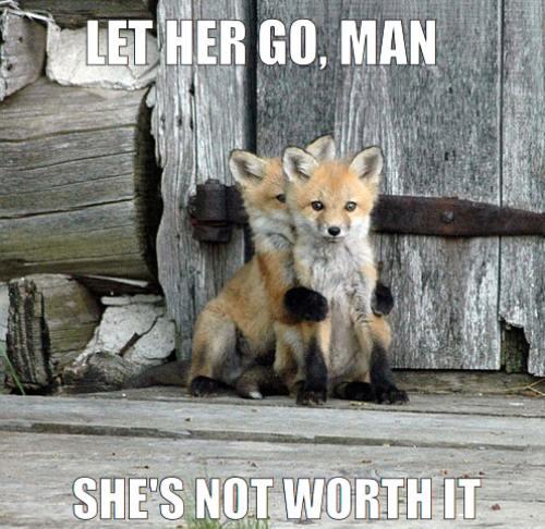 Consoling fox friend