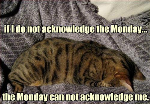Denying Monday's Existence