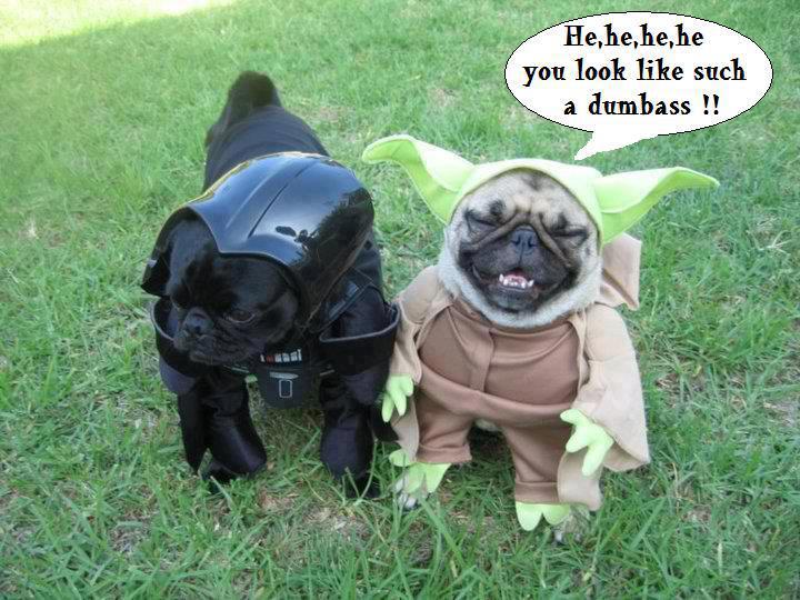 Star Wars-themed canine comedy