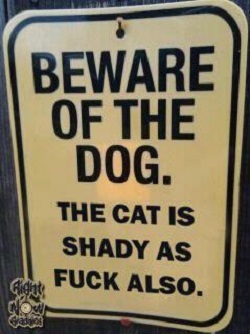 Humorous beware of pets sign