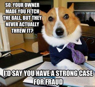 Dog Lawyer on Fraud Case