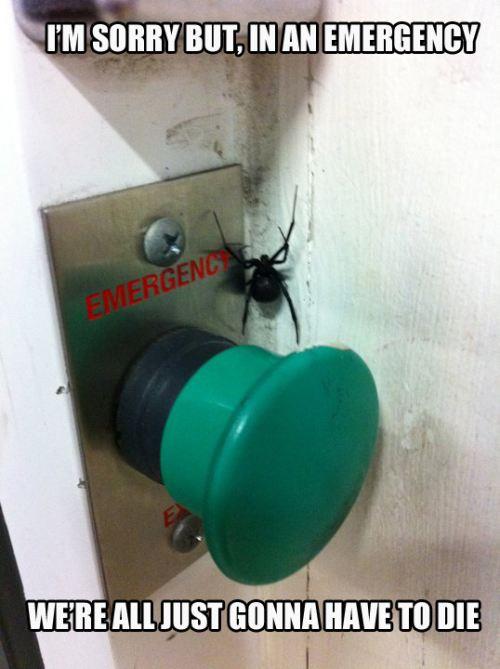 Arachnophobia vs Emergency Button