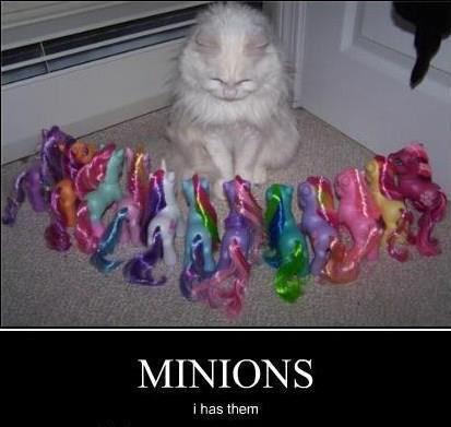 Cat with colorful toy minions
