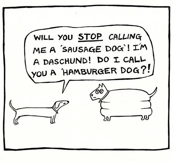 Dogs Debate Proper Names