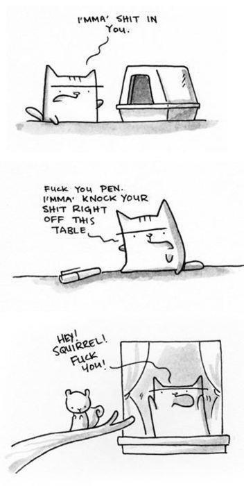 Classic cat behavior comic
