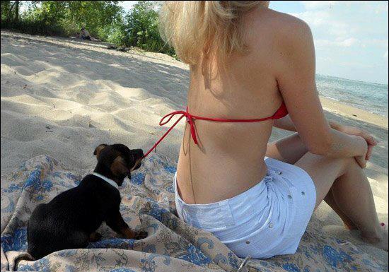 Puppy Unleashing Adventure