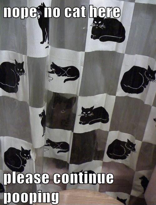 Camouflaged Cat Interrupts Privacy