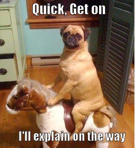 Pug's Hasty Adventure Plan