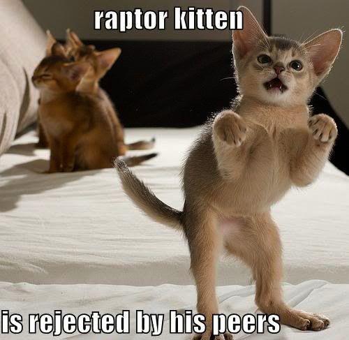 Playful kitten acting like a dinosaur