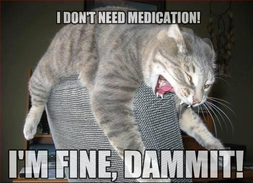 Cat's humorous denial of medication