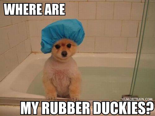 Bath time missing duckies