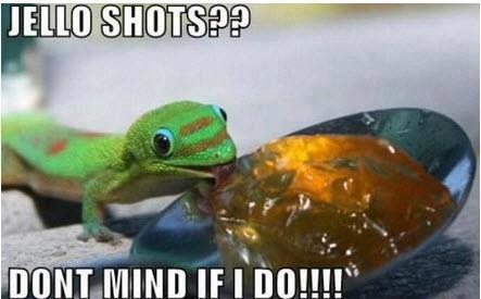 Gecko Licking Jello Shot