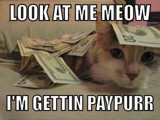 Cat with Cash Humor