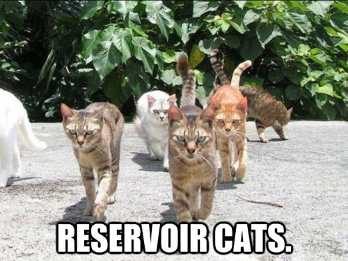 Reservoir Cats Parody