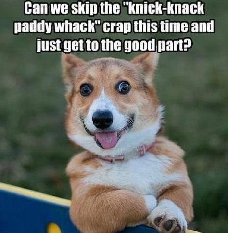 Impatient Corgi Wants Fun
