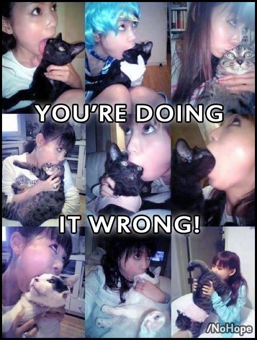 Pet Kissing Instructions: Failed