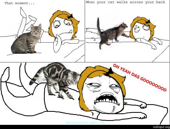 Cat Massage Face Transformation Meme