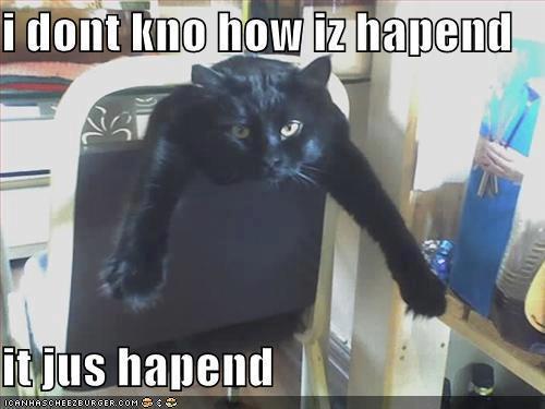 Comically Surprised Cat Situation