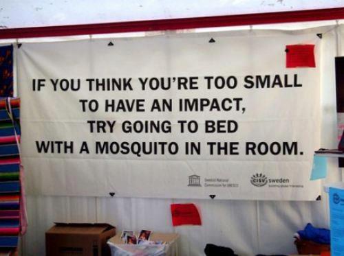Mosquito's Impact Advice