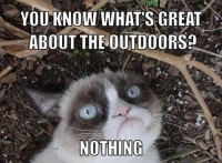 Grumpy Cat's Outdoor Enthusiasm