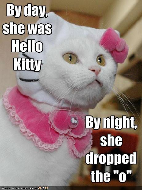 Hello Kitty-themed cat humor