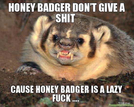 Indifferent Honey Badger Meme