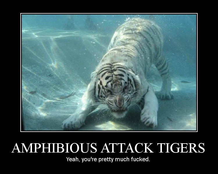 Swimming Tiger Humor