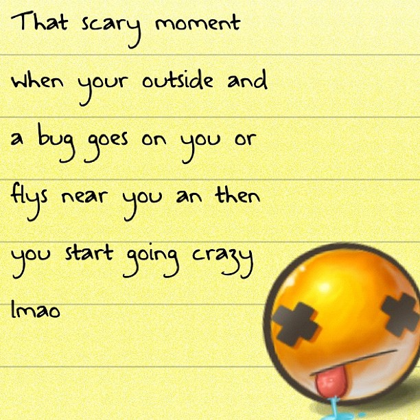 Overreaction to Bugs Meme